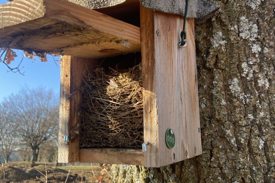 photo_2024-11-22_08-30-34 (2)